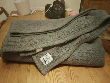 Photo of free Teddy Blanket - Large (Ramsgate CT11) #1