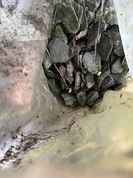 Photo of free Slate chippings (Oxford OX1) #1