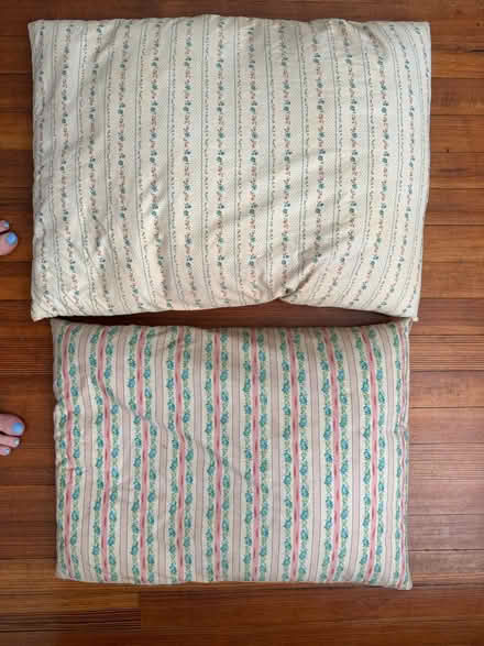Photo of free Down pillows (NW DC — 20011) #1