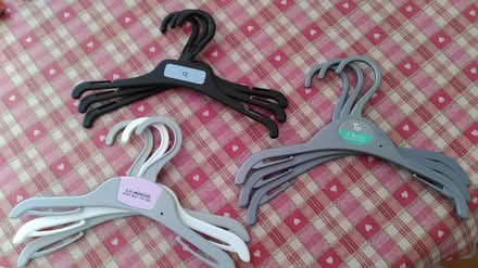 Photo of free Small plastic hangers (Byfleet KT14) #1