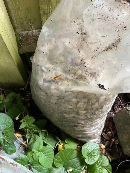 Photo of free Shingle/ gravel (Oxford OX1) #2