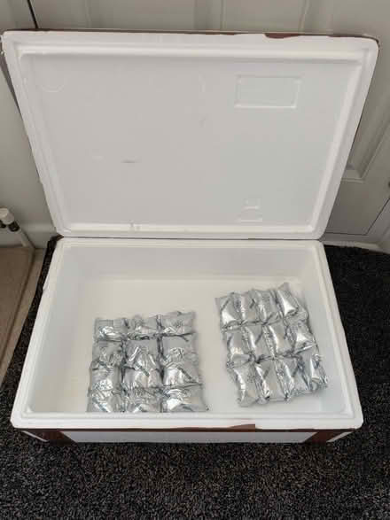 Photo of free Large cool box (Welling DA16) #2