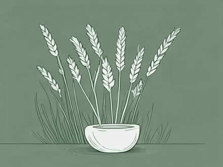 Photo of free Ornamental grasses various sizes (Tilehurst RG31) #1