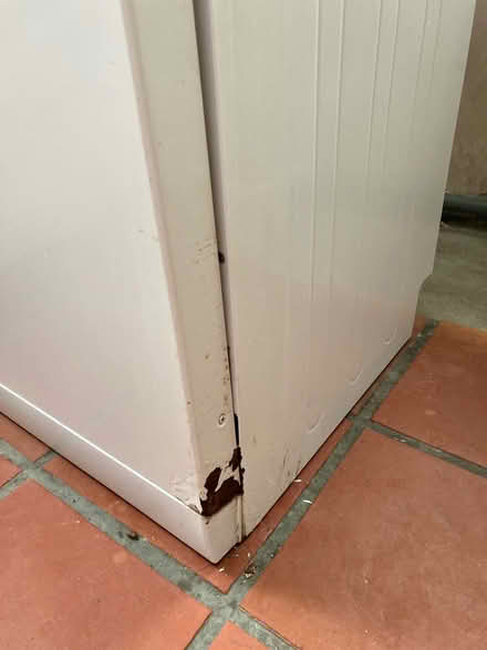 Photo of free Proaction dishwasher (N13 Palmers Green) #2