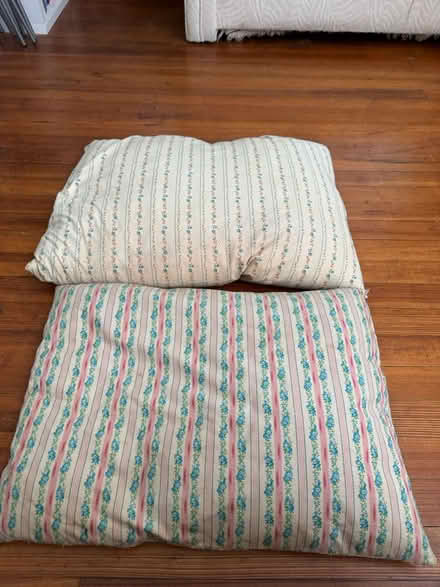 Photo of free Down pillows (NW DC — 20011) #2