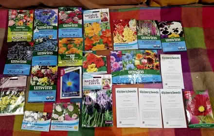 Photo of free Flower seeds (Broadbridge Heath RH12) #3