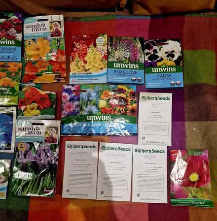 Photo of free Flower seeds (Broadbridge Heath RH12) #2