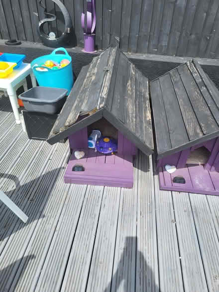 Photo of free Cat or dog house 2 (Rise Park NG5) #1