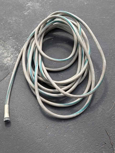 Photo of free Garden Hose 50 feet (Prospect Hts) #1