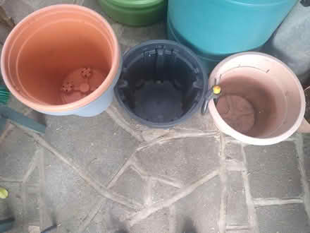 Photo of free 4 large plastic plant pots (Thorpe Bay, SS1) #3