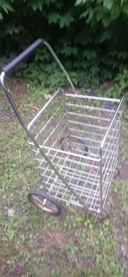 Photo of free 4 legged Granny cart with wheels (East Beechwood area) #1