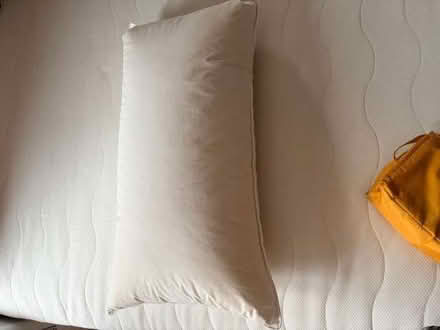 Photo of free Down and feather pillow (Chelsea SW10) #3