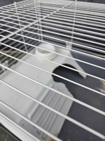 Photo of free Guinea pig/rabbit home (UB5) #3
