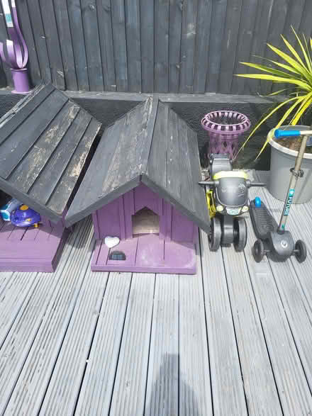 Photo of free Cat or dog house (Rise Park NG5) #1