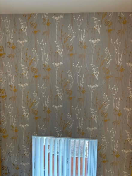 Photo of free 2 complete rolls of wallpaper (Port Talbot SA12) #2