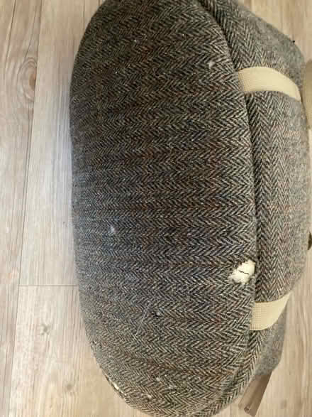 Photo of free Dog bag for small dog (SW19) #4