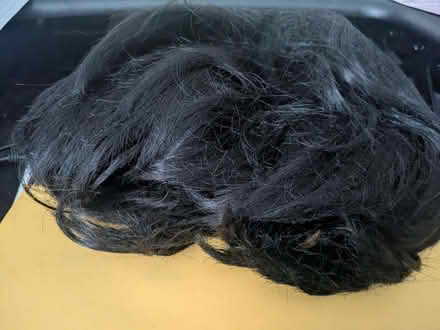 Photo of free Beatles Wig (Harlesden NW10) #1
