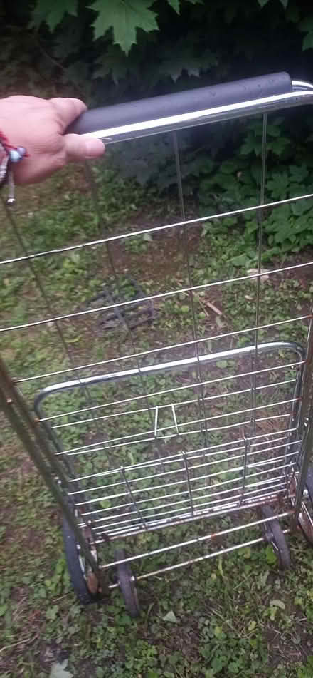 Photo of free 4 legged Granny cart with wheels (East Beechwood area) #3