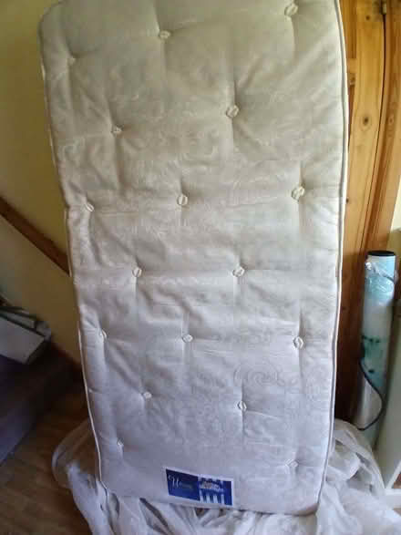 Photo of free Single metal-frame bed plus mattress (North Tonbridge TN10) #1