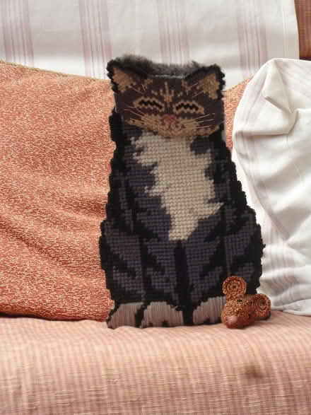 Photo of free cat door stop (dunball/downend) #1