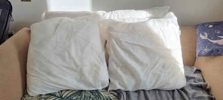 Photo of free 4 x Cushion Inserts 60x60cm (Penrith CA11) #1