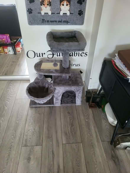 Photo of free Cat tree (Rise Park NG5) #1