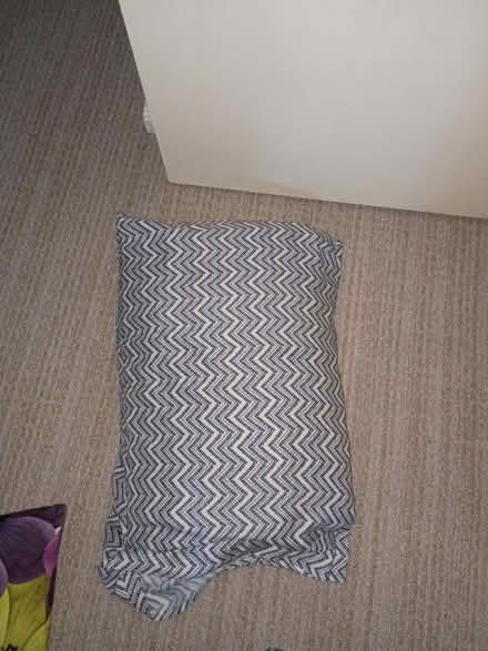 Photo of free Pillows (Birdland) #1