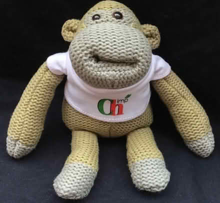 Photo of PG tips monkey (Harrogate HG2) #1