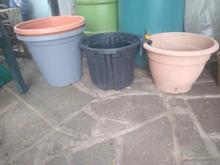 Photo of free 4 large plastic plant pots (Thorpe Bay, SS1) #1