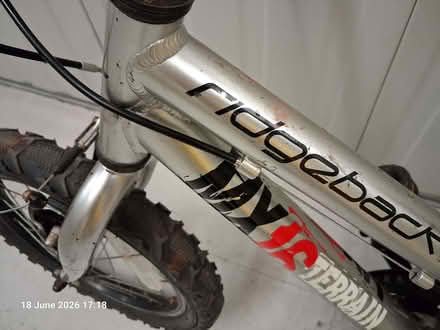 Photo of free silver Ridgeback MX16 bike (16in wheels) (Woodlands TW7) #4