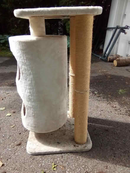 Photo of free Cat tree to gift (Manor Park - Rockcliffe Park) #1
