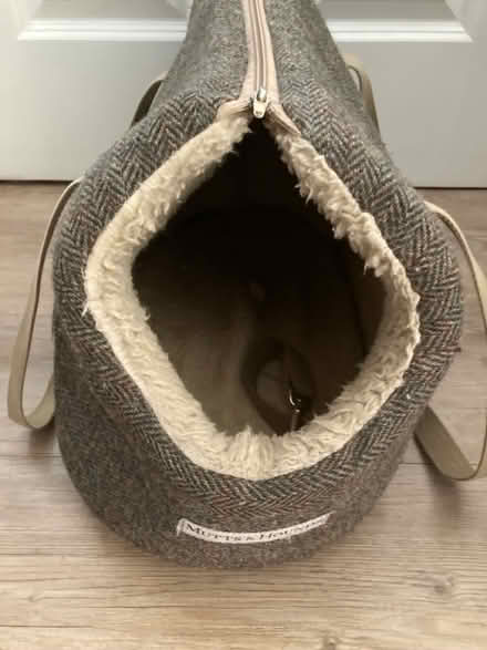 Photo of free Dog bag for small dog (SW19) #2