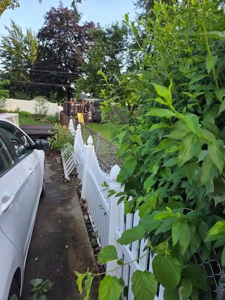 Photo of free Vinyl Fence Panels Qty 11 (Elmhurst near Berens Park) #2