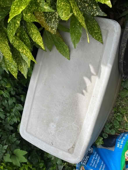 Photo of free plastic bin (20910) #1