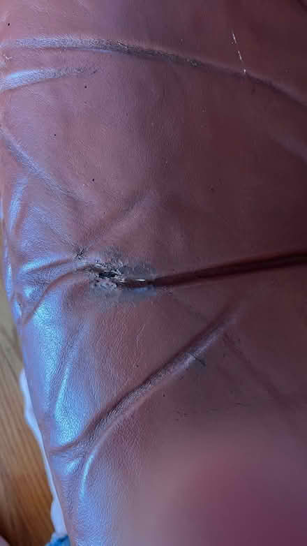 Photo of free Comfy chair (Sunnyvale) #2