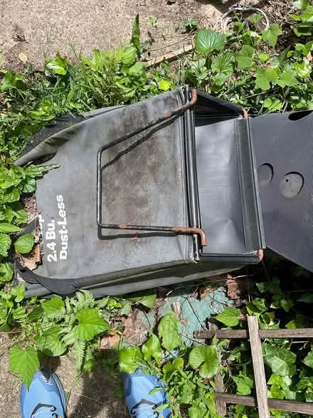 Photo of free grass catcher (20910) #1