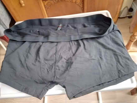 Photo of free Boxers (Black Dam RG21) #2