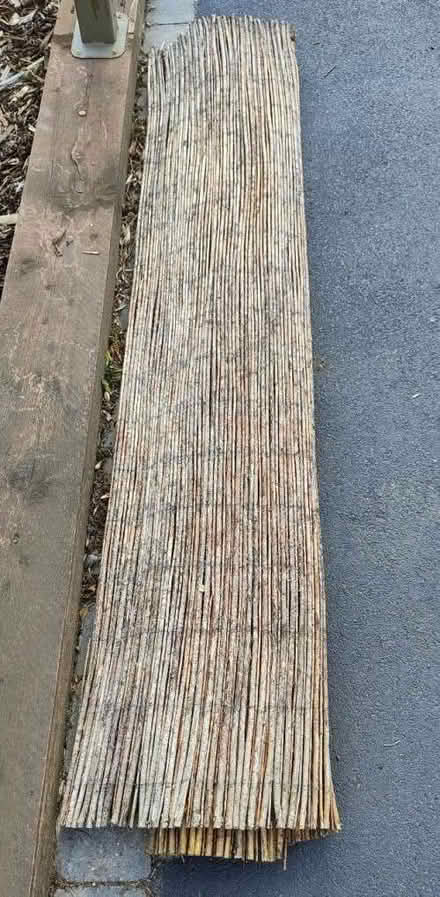 Photo of free Bamboo Screen (Boulton Moor DE24) #1