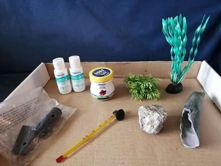 Photo of free Fish Tank Accessories (Old Ottawa East) #1