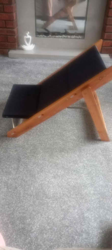Photo of free Dog steps/ramp (L35) #2