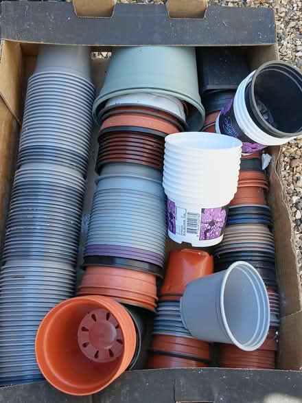 Photo of free Clean flower pots -plastic (Burnham) #1