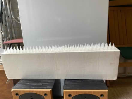 Photo of free Bird deterrent spikes (Headington, Oxford OX3) #1