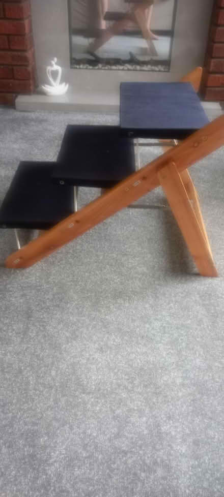 Photo of free Dog steps/ramp (L35) #1