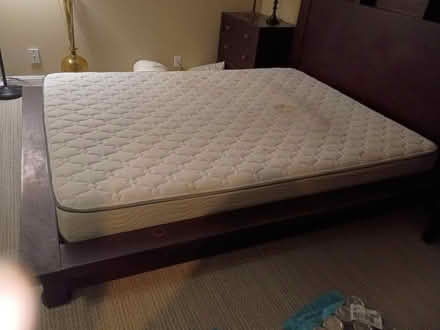 Photo of free Queen mattress (Birdland) #1