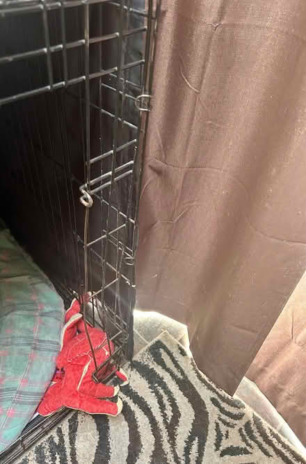 Photo of free Very Large Dog Crate (SE Downers Grove) #3