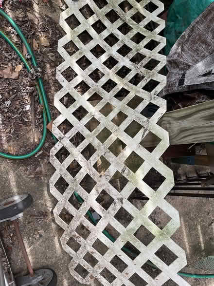 Photo of free lattice (20910) #1