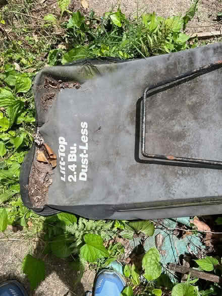 Photo of free grass catcher (20910) #2