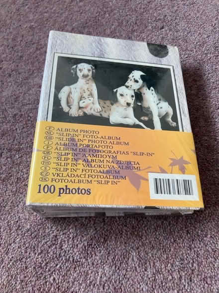 Photo of free Dalmatian photo album (Parkstone, Poole. BH14.) #1