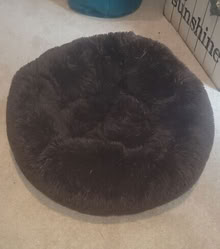 Photo of free soft dog bed #1
