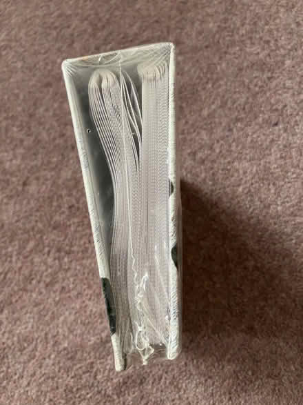 Photo of free Dalmatian photo album (Parkstone, Poole. BH14.) #2